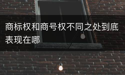 商标权和商号权不同之处到底表现在哪