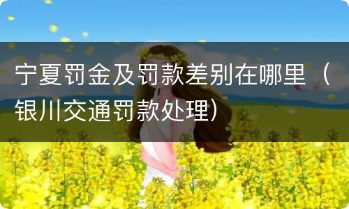 宁夏罚金及罚款差别在哪里（银川交通罚款处理）