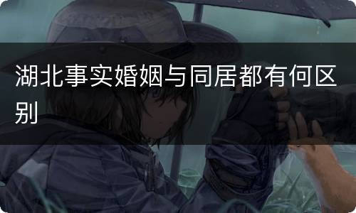 湖北事实婚姻与同居都有何区别
