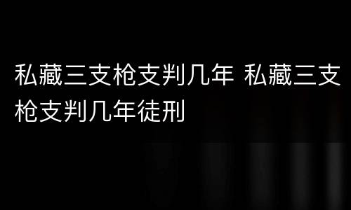 私藏三支枪支判几年 私藏三支枪支判几年徒刑