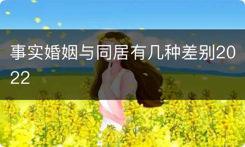 事实婚姻与同居有几种差别2022