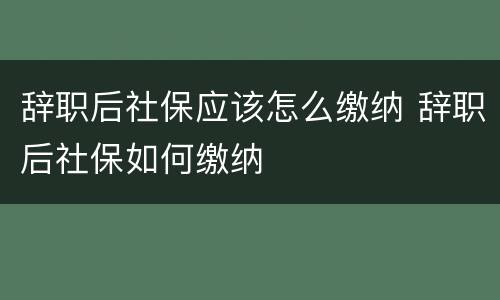 辞职后社保应该怎么缴纳 辞职后社保如何缴纳
