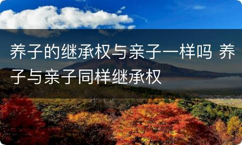养子的继承权与亲子一样吗 养子与亲子同样继承权