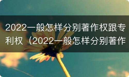 2022一般怎样分别著作权跟专利权（2022一般怎样分别著作权跟专利权呢）