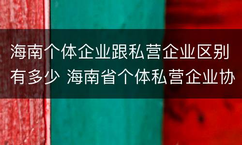 海南个体企业跟私营企业区别有多少 海南省个体私营企业协会