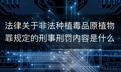 法律关于非法种植毒品原植物罪规定的刑事刑罚内容是什么