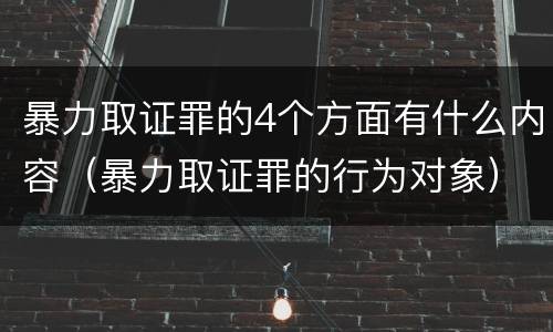 暴力取证罪的4个方面有什么内容（暴力取证罪的行为对象）