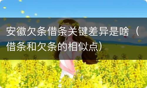 安徽欠条借条关键差异是啥（借条和欠条的相似点）