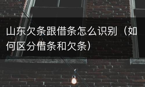 山东欠条跟借条怎么识别（如何区分借条和欠条）