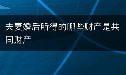 夫妻婚后所得的哪些财产是共同财产