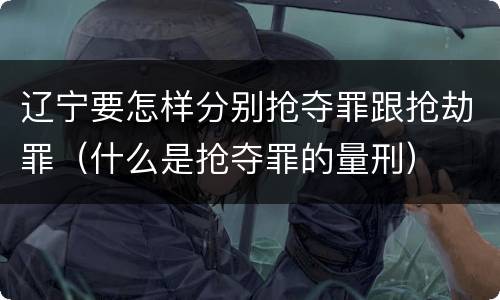 辽宁要怎样分别抢夺罪跟抢劫罪（什么是抢夺罪的量刑）