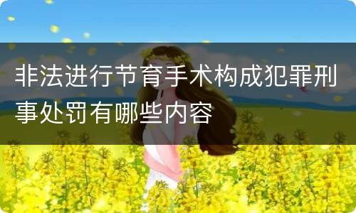 非法进行节育手术构成犯罪刑事处罚有哪些内容