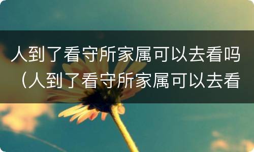 人到了看守所家属可以去看吗（人到了看守所家属可以去看吗现在）