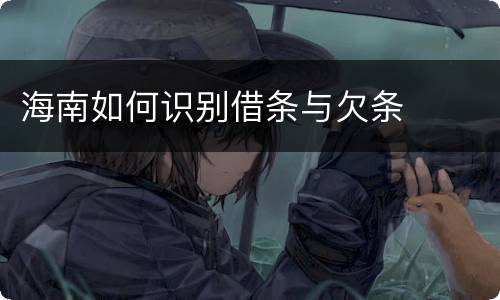 海南如何识别借条与欠条