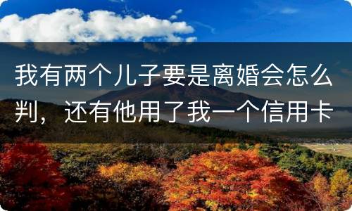 我有两个儿子要是离婚会怎么判，还有他用了我一个信用卡但没还清我该怎么