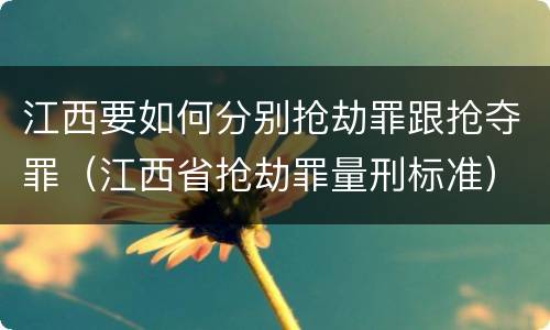 江西要如何分别抢劫罪跟抢夺罪（江西省抢劫罪量刑标准）