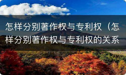 怎样分别著作权与专利权（怎样分别著作权与专利权的关系）