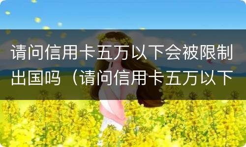 请问信用卡五万以下会被限制出国吗（请问信用卡五万以下会被限制出国吗怎么办）