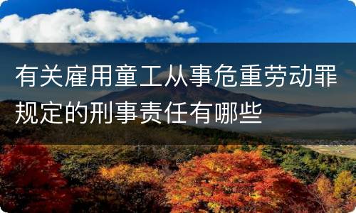 有关雇用童工从事危重劳动罪规定的刑事责任有哪些