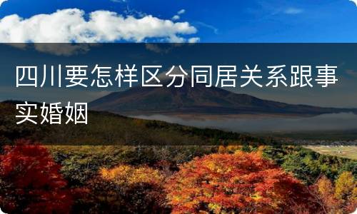 四川要怎样区分同居关系跟事实婚姻