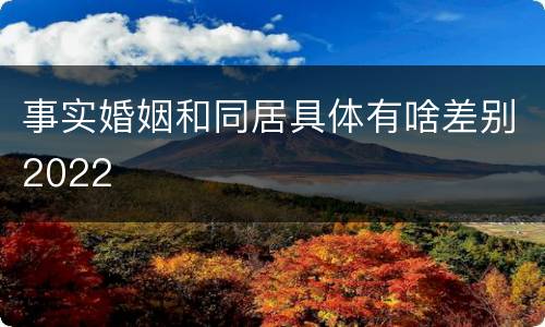 事实婚姻和同居具体有啥差别2022