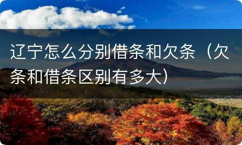 辽宁怎么分别借条和欠条（欠条和借条区别有多大）