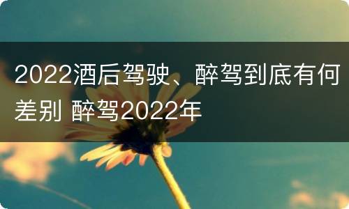 2022酒后驾驶、醉驾到底有何差别 醉驾2022年