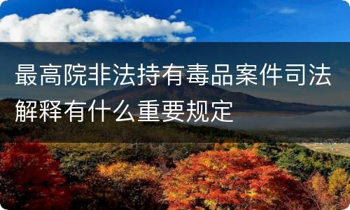 最高院非法持有毒品案件司法解释有什么重要规定