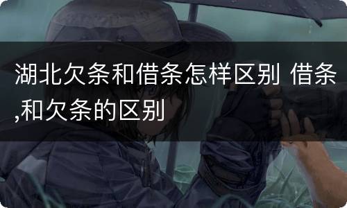 湖北欠条和借条怎样区别 借条,和欠条的区别