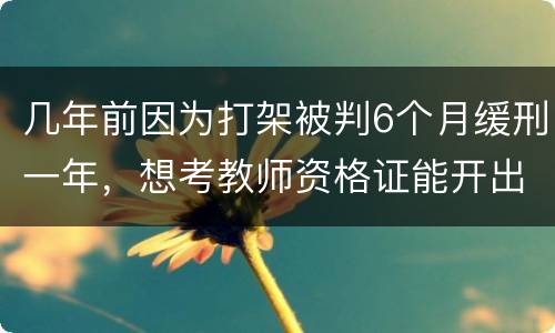 几年前因为打架被判6个月缓刑一年，想考教师资格证能开出来无犯罪证明嘛