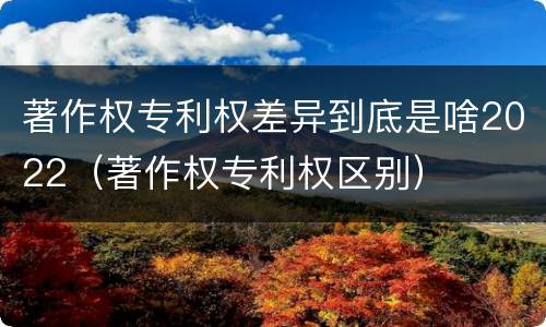 著作权专利权差异到底是啥2022（著作权专利权区别）