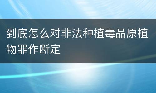 到底怎么对非法种植毒品原植物罪作断定