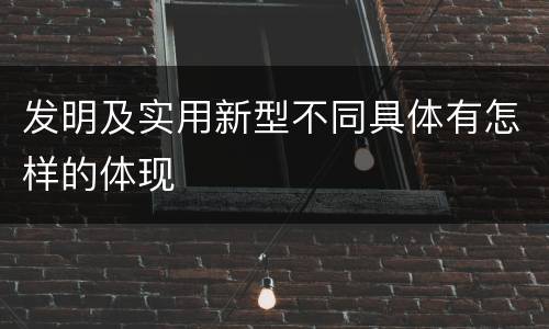 发明及实用新型不同具体有怎样的体现