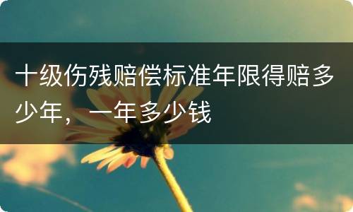 十级伤残赔偿标准年限得赔多少年，一年多少钱