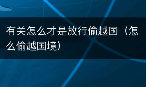 有关怎么才是放行偷越国（怎么偷越国境）