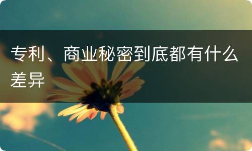 专利、商业秘密到底都有什么差异