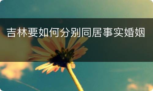 吉林要如何分别同居事实婚姻