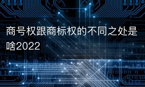 商号权跟商标权的不同之处是啥2022