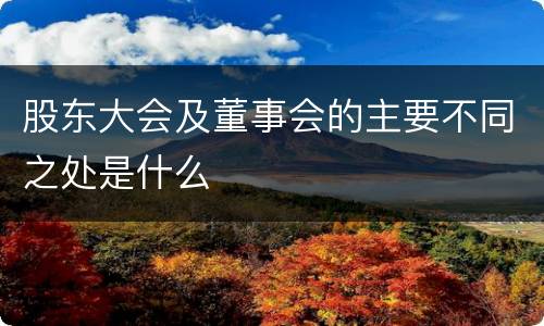 股东大会及董事会的主要不同之处是什么