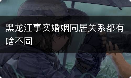 黑龙江事实婚姻同居关系都有啥不同