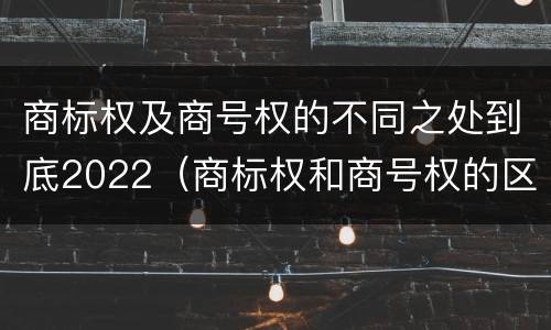 商标权及商号权的不同之处到底2022（商标权和商号权的区别）
