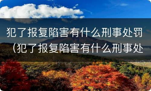 犯了报复陷害有什么刑事处罚（犯了报复陷害有什么刑事处罚案例）