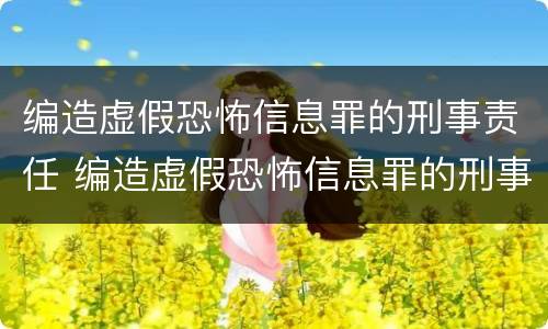 编造虚假恐怖信息罪的刑事责任 编造虚假恐怖信息罪的刑事责任