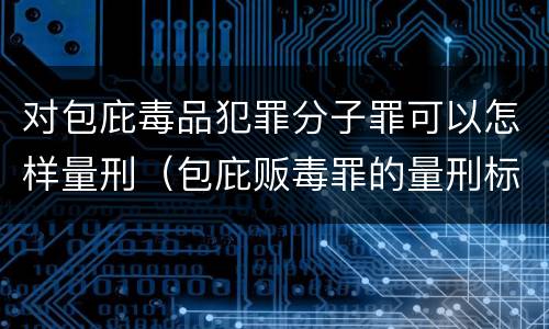 对包庇毒品犯罪分子罪可以怎样量刑（包庇贩毒罪的量刑标准）