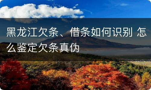 黑龙江欠条、借条如何识别 怎么鉴定欠条真伪