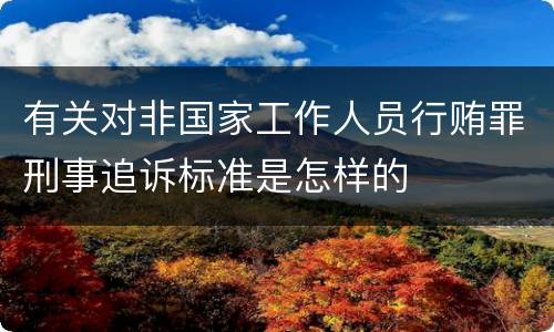 有关对非国家工作人员行贿罪刑事追诉标准是怎样的