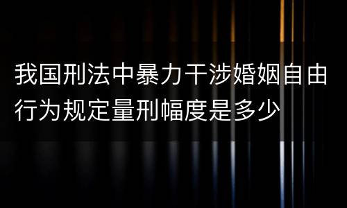 我国刑法中暴力干涉婚姻自由行为规定量刑幅度是多少