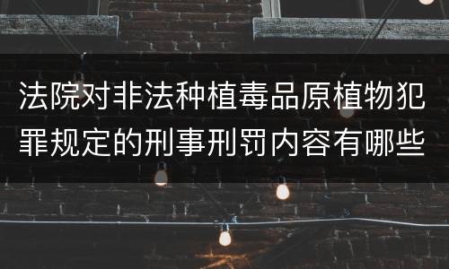 法院对非法种植毒品原植物犯罪规定的刑事刑罚内容有哪些