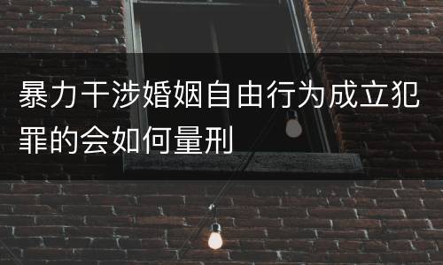 暴力干涉婚姻自由行为成立犯罪的会如何量刑