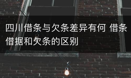 四川借条与欠条差异有何 借条借据和欠条的区别